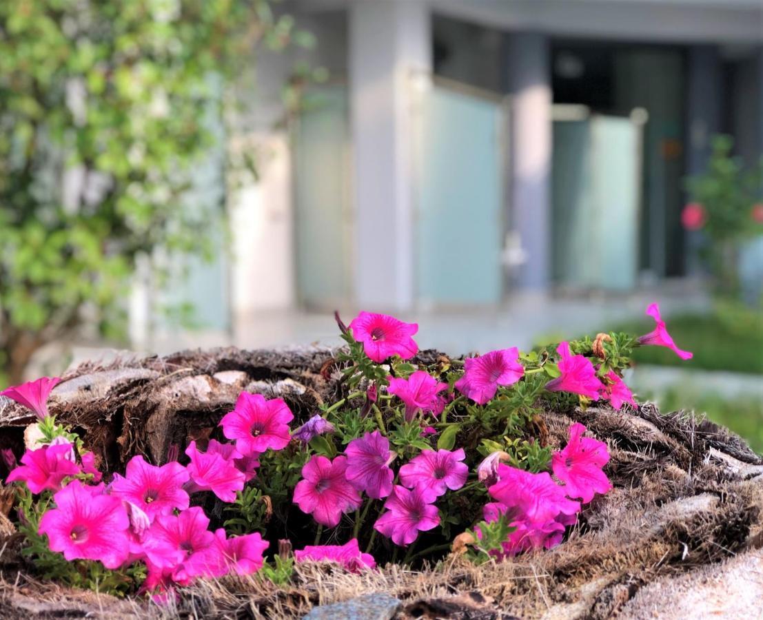 Nikiti Holidays المظهر الخارجي الصورة